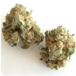 Шишки "White Widow"  (Белая вдова)  Гидропоника -  Бошка VHQ в Карпинске